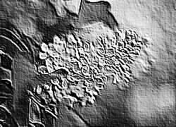 Skamielina