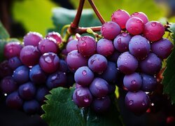 Oryginalny obrazek