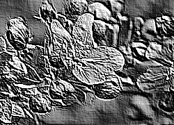 Skamielina