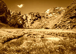 Sepia