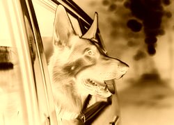 Sepia + Negatyw