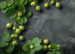 Oryginalny obrazek