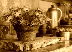 Sepia