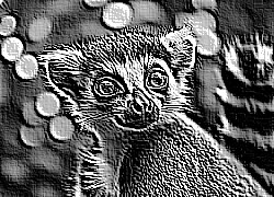 Skamielina