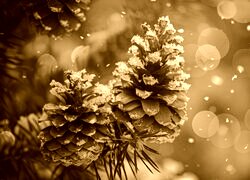 Sepia