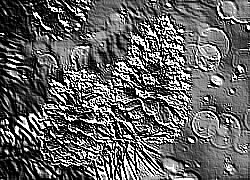 Skamielina