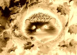 Sepia + Negatyw