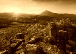 Sepia