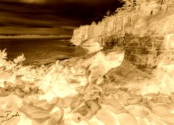 Sepia + Negatyw