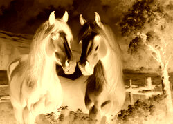 Sepia + Negatyw