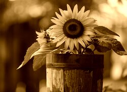 Sepia