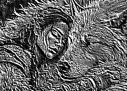 Skamielina