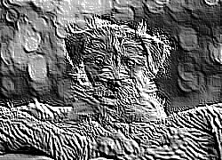 Skamielina