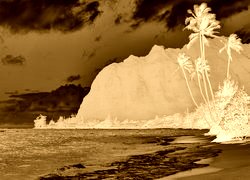 Sepia + Negatyw