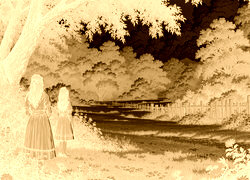 Sepia + Negatyw