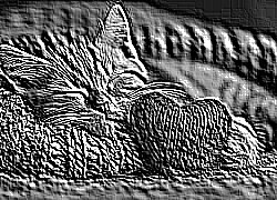 Skamielina