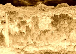 Sepia + Negatyw