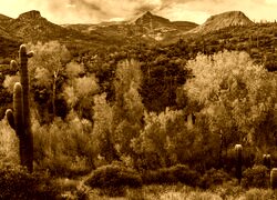 Sepia
