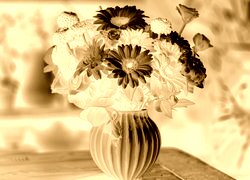 Sepia + Negatyw