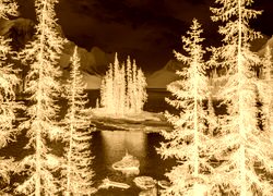 Sepia + Negatyw
