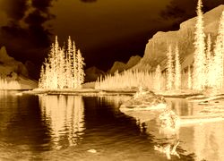 Sepia + Negatyw