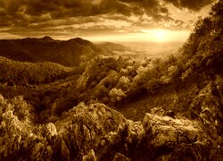 Sepia