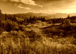 Sepia