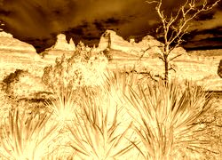 Sepia + Negatyw