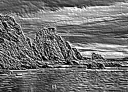 Skamielina