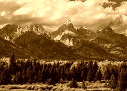 Sepia