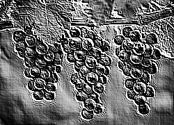 Skamielina