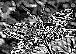 Skamielina