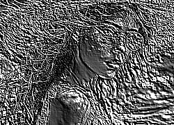 Skamielina