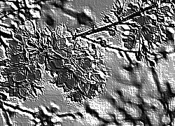 Skamielina