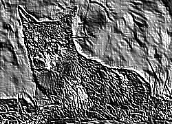 Skamielina