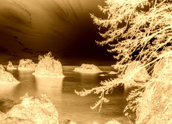 Sepia + Negatyw