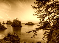 Sepia