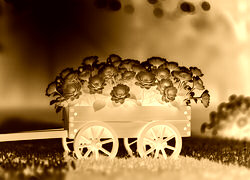 Sepia + Negatyw