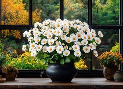 Oryginalny obrazek
