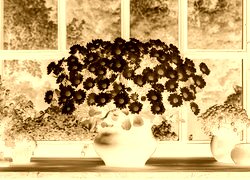 Sepia + Negatyw