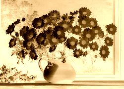 Sepia + Negatyw