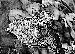 Skamielina