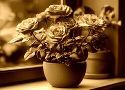 Sepia