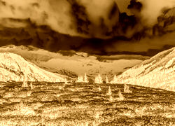 Sepia + Negatyw