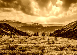 Sepia