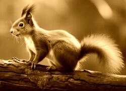 Sepia