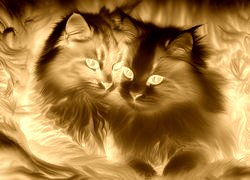 Sepia + Negatyw