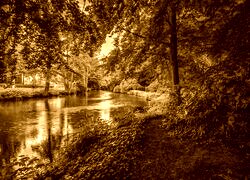 Sepia