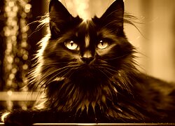 Sepia