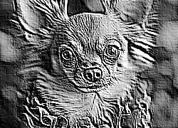 Skamielina